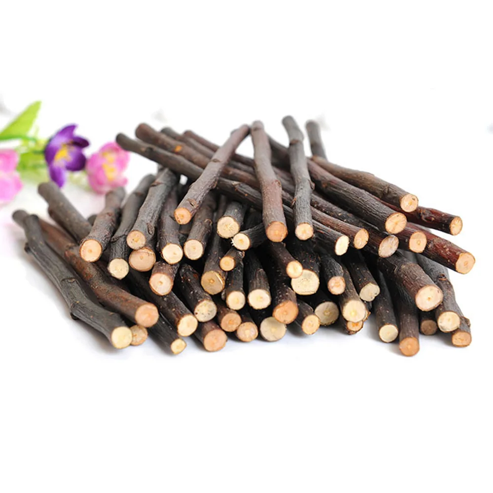 Хомяки яблоко снэки палочки для домашних животных молярная ветка шиншиллы