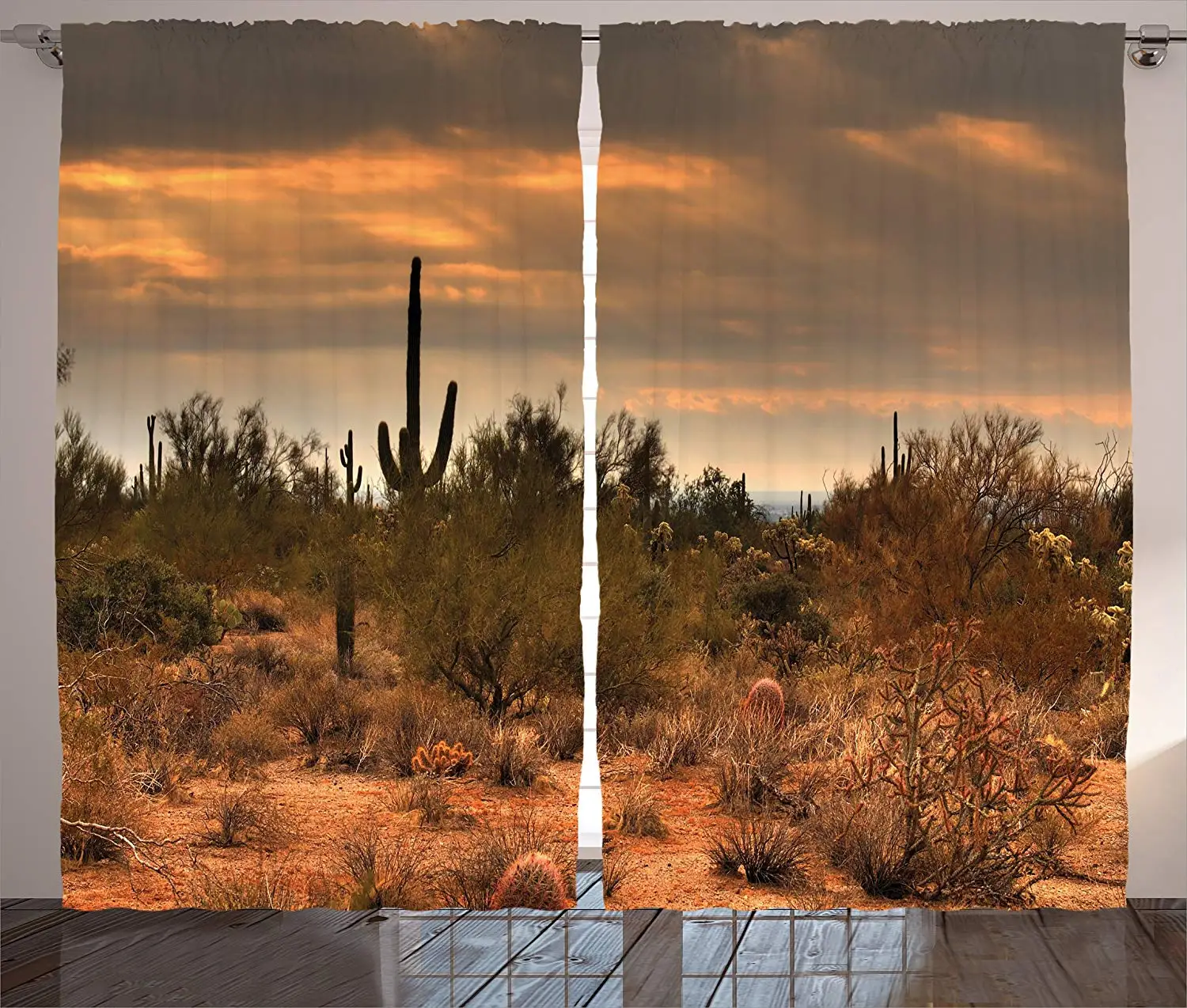 Saguaro кактус шторы драматический тенистый вид пустыни с штормовыми облаками
