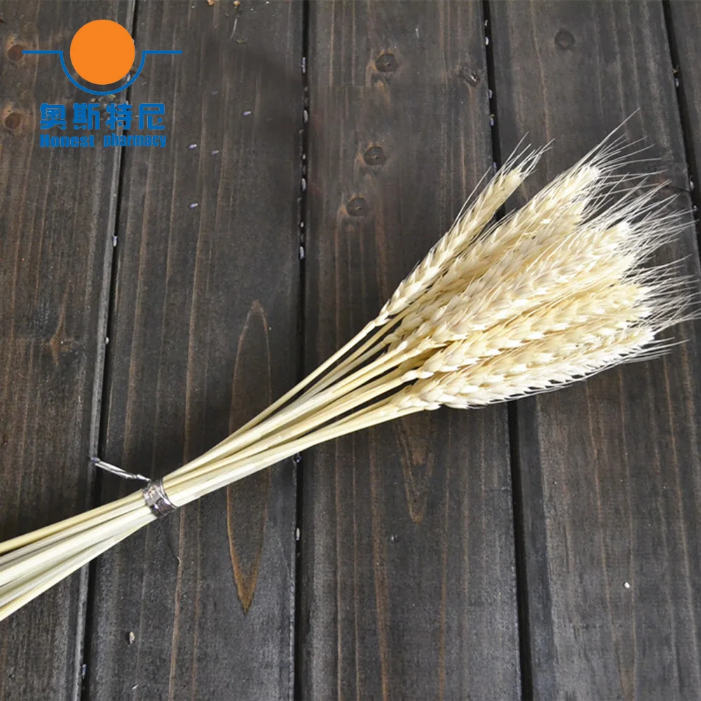 100 шт. 6 цветов в наличии Натуральные сушеные цветы букеты из натуральных