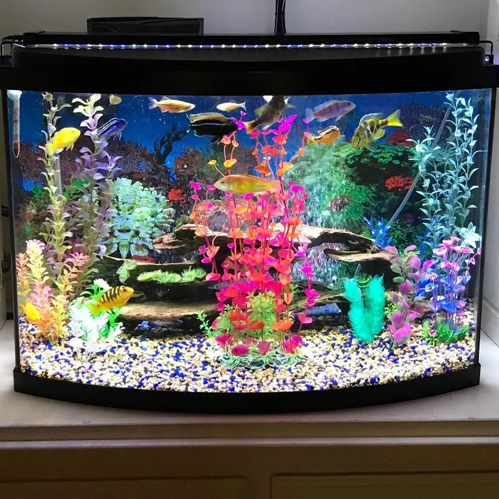 NCFAQUA 2" морской аквариум светодиодный светильник ing Fish Tank светильник с выдвижным кронштейном белый синий светодиодный s для морских рифов EU Plug