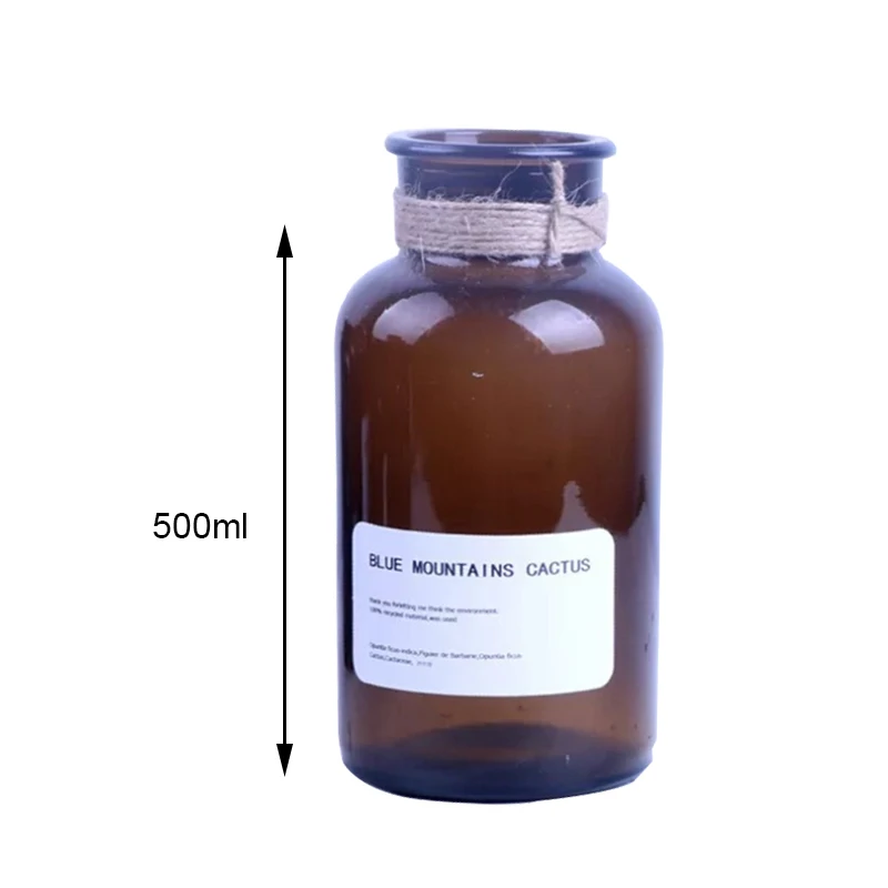 500ml Brown Скандинавская стеклянная ваза, украшение для дома, Цветочная композиция для вазы, гидропонная настольная ваза для цветов, сделай сам, День Святого Валентина, ремесла - Цвет: 500ml Brown