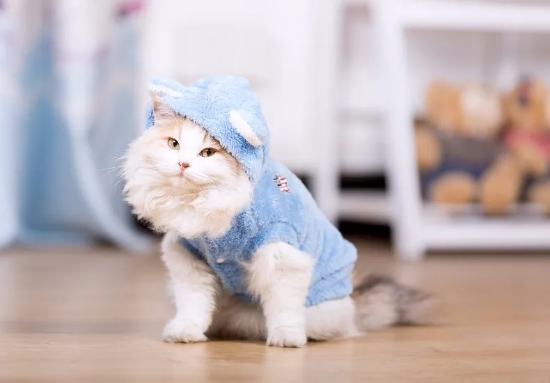 HOOPET/Новинка; костюмы для маленьких собак; Одежда для кошек; Синяя бархатная зимняя куртка; теплая одежда для собак; одежда для домашних животных; хлопок