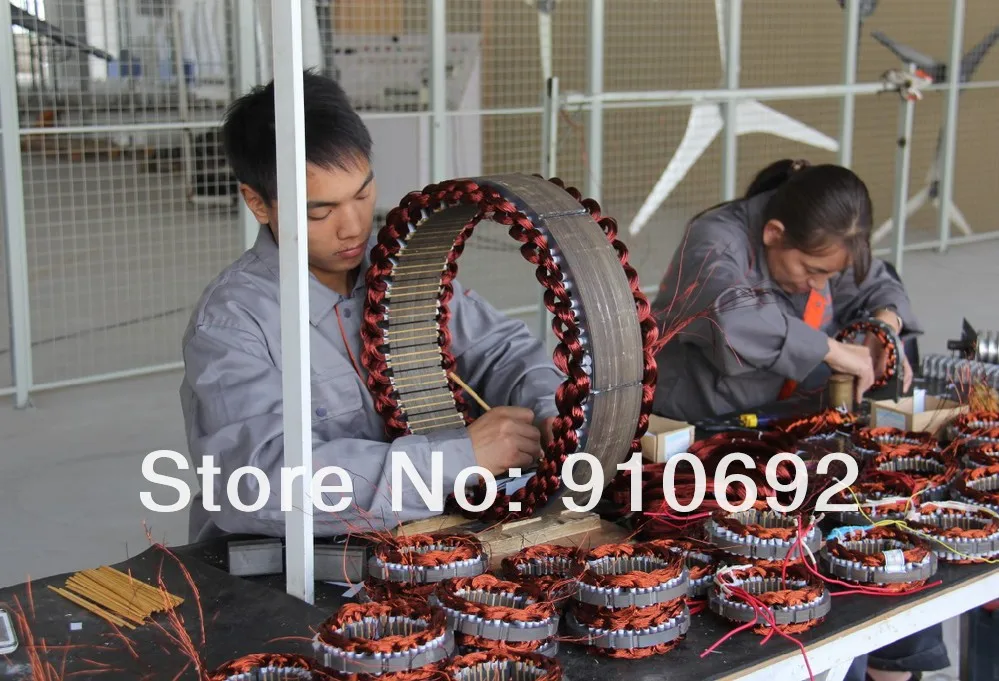 Генератор постоянного магнита 10 кВт|permanent magnet generator alternator|10kw permanent generatorgenerator alternator