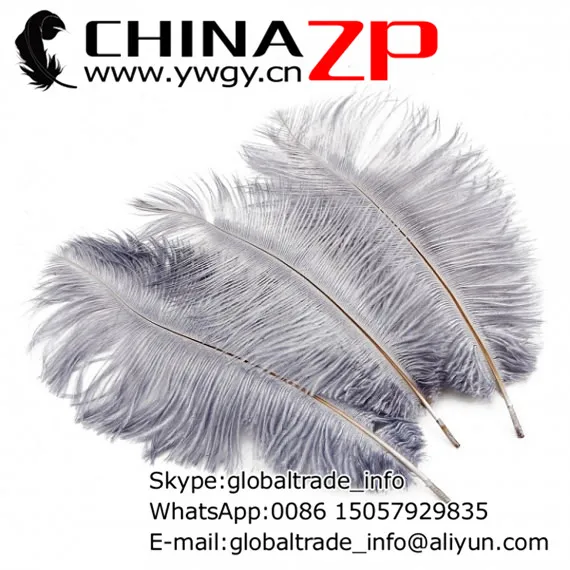 

Leading Supplier CHINAZP Factory 25-30cm(10-12inch) 200pcs.lot Dyed Gray Decoration Ostrich Plumes Feathers