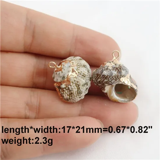 22825 natural shell 2X подвеска в виде раковины из натуральной раковины, подвеска в виде раковины, подвеска в виде раковины, естественная, наугад для самостоятельного изготовления ювелирных изделий, серьги, ожерелья, аксессуары для изготовления - Окраска металла: 22825 natural shell