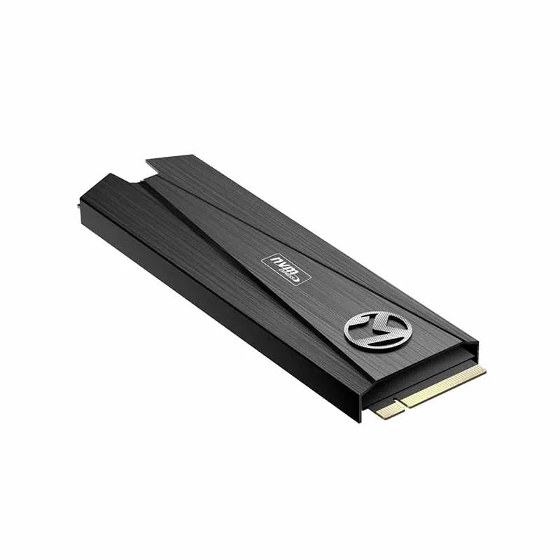 MAXSUN SSD m.2 240 ГБ ssd Мститель M.2-2280 480 1700 1900 МБ/с. PCIe m2 960 3D NAND Flash SMI 2263XT для рабочего стола