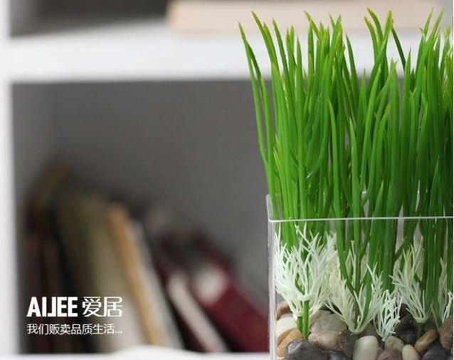 Фото 20pcs/lots Artificial grass green shoots plastic simulation leek artificial plant home decoration Дом и сад 20pcs/lots Artificial grass green shoots plastic simulation leek artificial plant home decoration Дом и сад