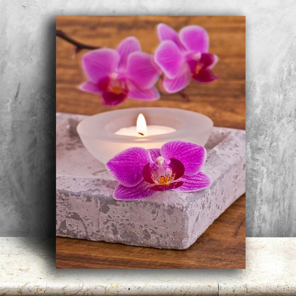 Освещенная Картина на холсте орхидеи с чайками Zen холст печать Led Настенная