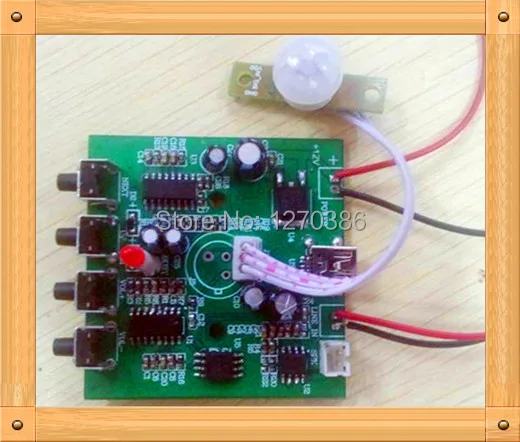 Бесплатная доставка! Датчик тела плеер/MP3 Воспроизведение доска/Голосовая