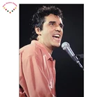 2,8 мм французская звезда Жюльен клеар алмазная живопись вышивка крестиком наборы пластиковых холстов алмазная живопись певица