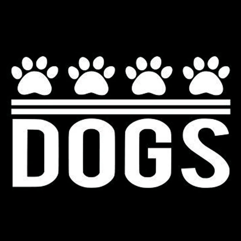 

15,2 * 9,2 Paw / S6-3880