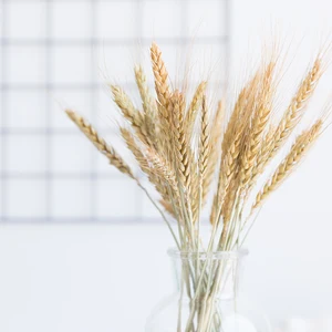 Натуральные сушеные цветы с 20 стеблями, декоративные цветы, букет из пшеницы, сухиветки, свадебное украшение, цветочный венок сделай сам