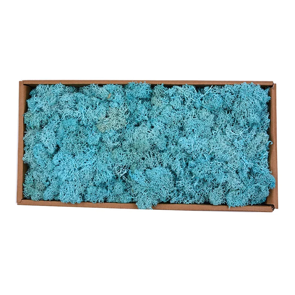 Sky blue Красивые 500 г/кор. цветы из мха, долго сохраняющиеся сушеные цветы для рукоделия, домашний декор для свадебной вечеринки XH8Z JA11 - Цвет: Sky blue
