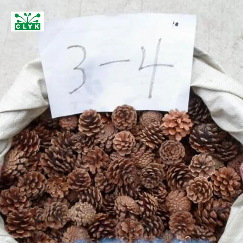 Натуральные сухие сосновые конусы Pinecone Рождество Новый Год праздничное