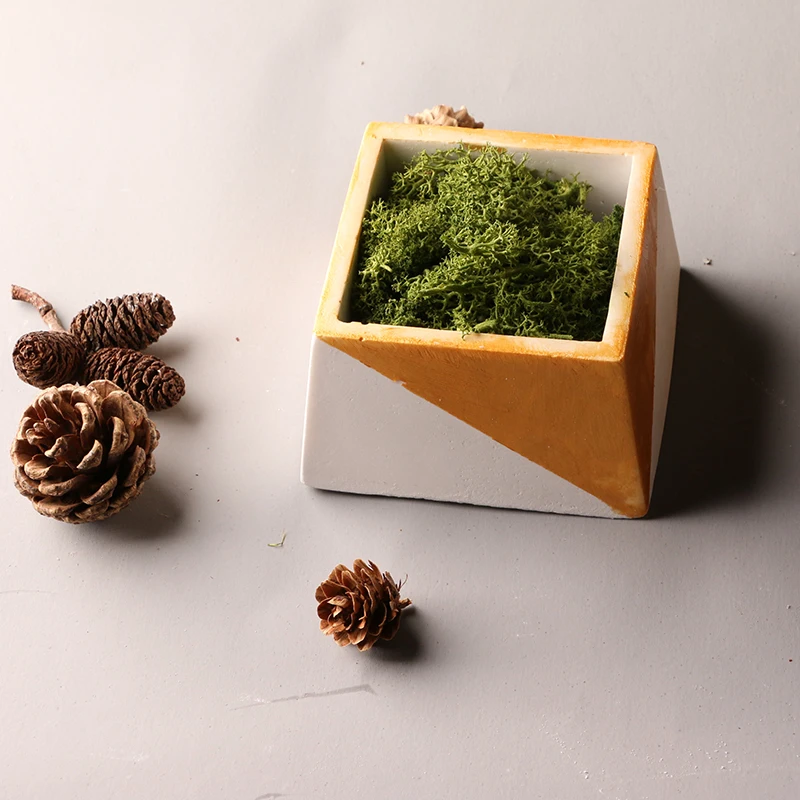 Суккулент завод бетон цветочный горшок плесень много низкая Стоимость