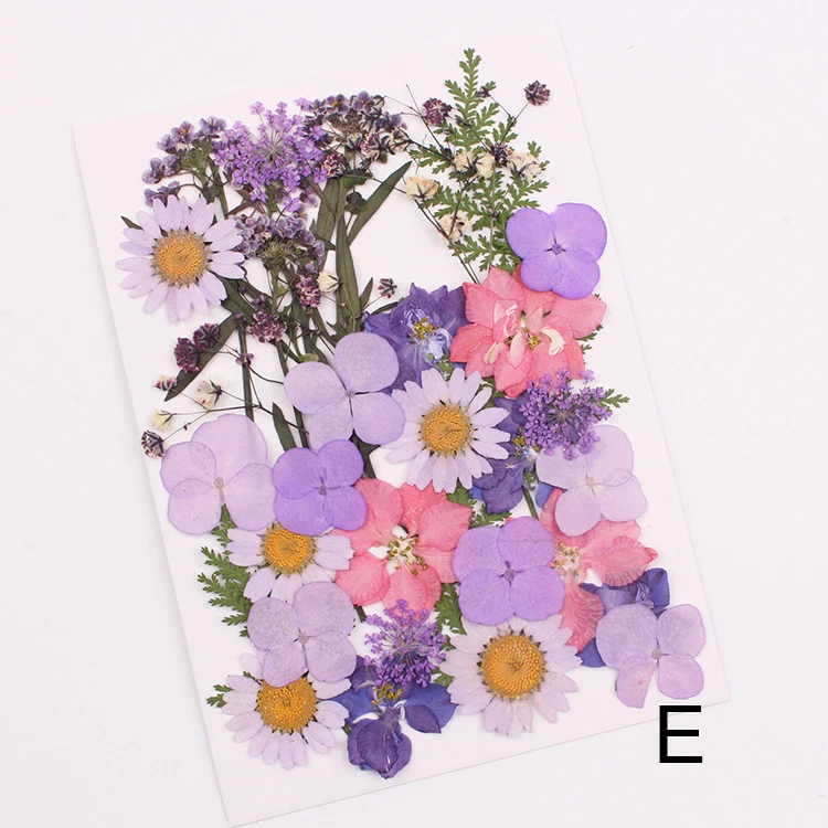 Натуральные сушеные цветы комбинация сделай сам прессованный гербарий цветок