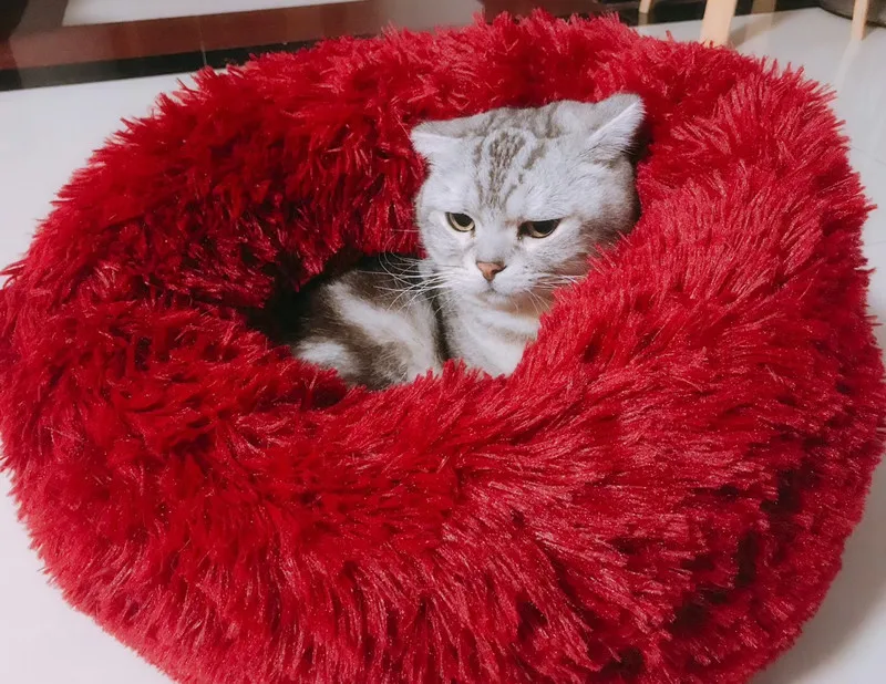 red Круглый плюшевый домик для кошек мягкий длинный плюшевый коврик для кошек круглая кровать для собаки для маленьких собак Лежанка для котов зимняя теплая Лежанка коврик для щенка - Цвет: red