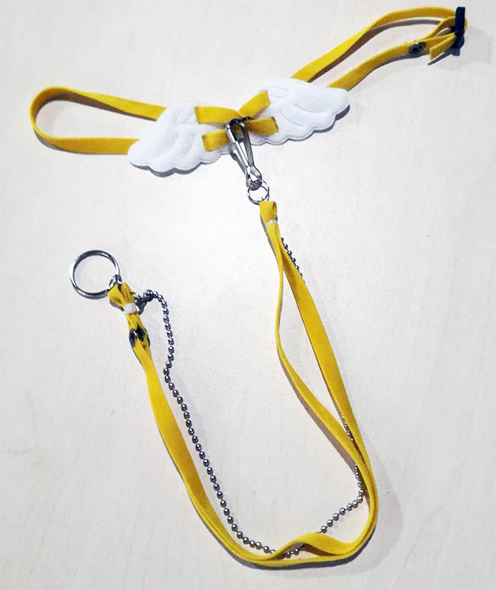 Новый поводок для ящерицы с крыльями ангела домашних животных рептилий