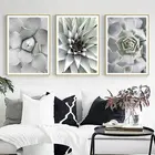 Кактуса растений изображение домашний декор Скандинавская Картина на холсте настенные Арт реалистичный свежие принты и Плакаты скандинавском стиле для Гостиная