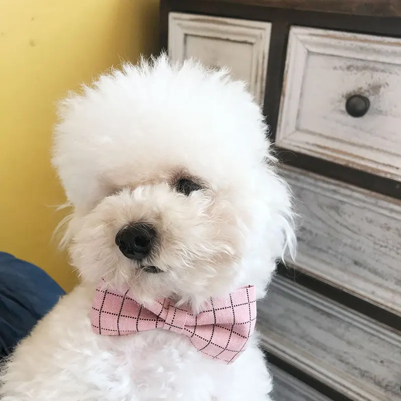 Cheepet Pet Bow Tie Leisure Style Sweet All Season Fashion Cute Adjustable Dog Accessories For Small | Дом и сад