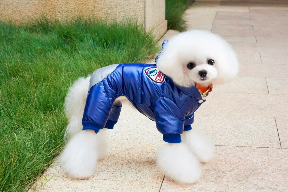 Новая Толстая стильная зимняя куртка для собаки с капюшоном лыжный костюм дизайн