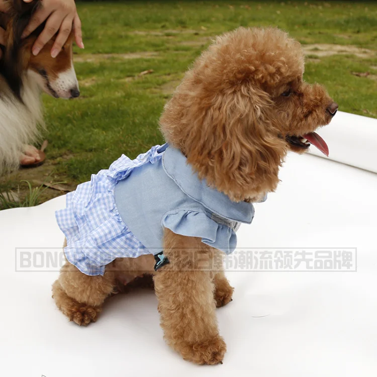 Платье Doglemi для щенка | Дом и сад