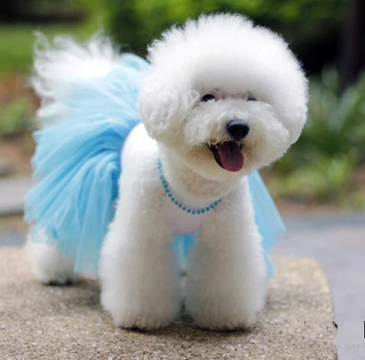 Белая собака свадебное платье с ожерельем щенок домашних животных вечерние