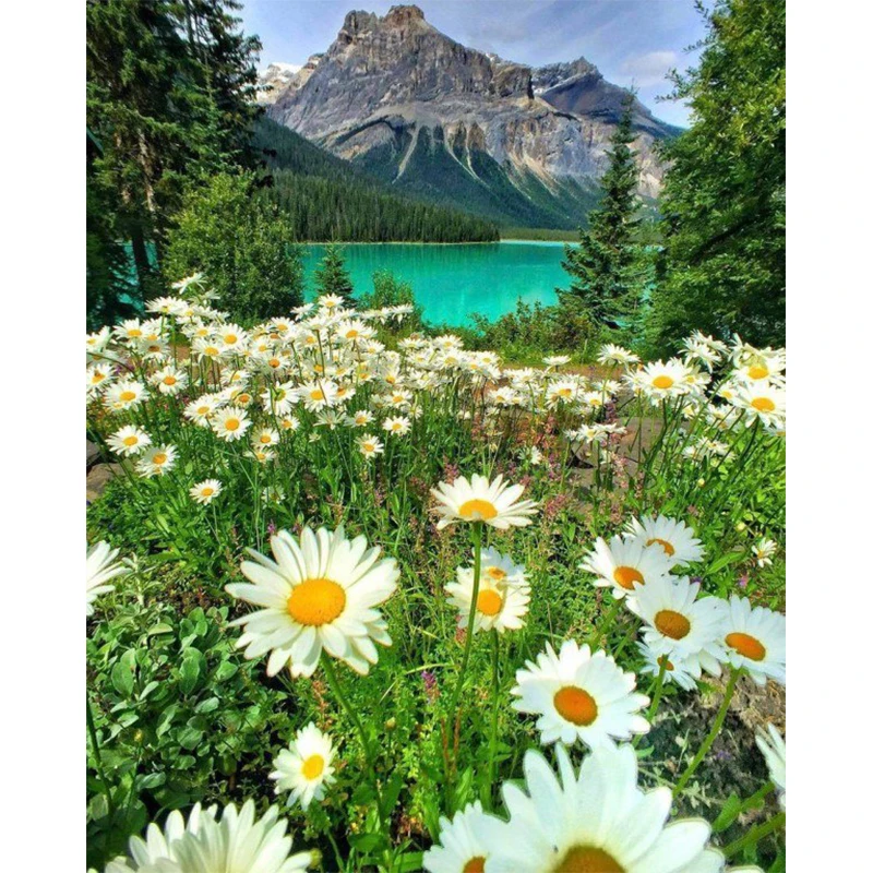 Алмазная 5D картина пейзаж ромашки цветы вышивка крестиком мозаика украшение