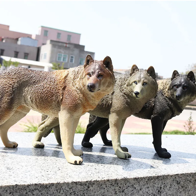 Мужской волк моделирование собака диких животных Colophony ремесла уточнение