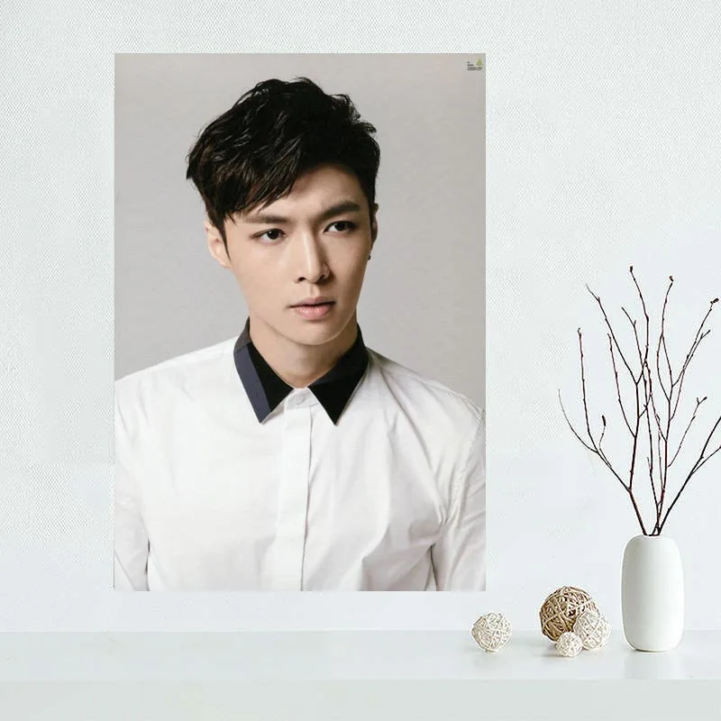 Custom LAY Canvas Painting Poster Home Decor Cloth Fabric Wall Art 27x40cm 30x45cm 40x60cm 50x75cm 60x90cm | Дом и сад