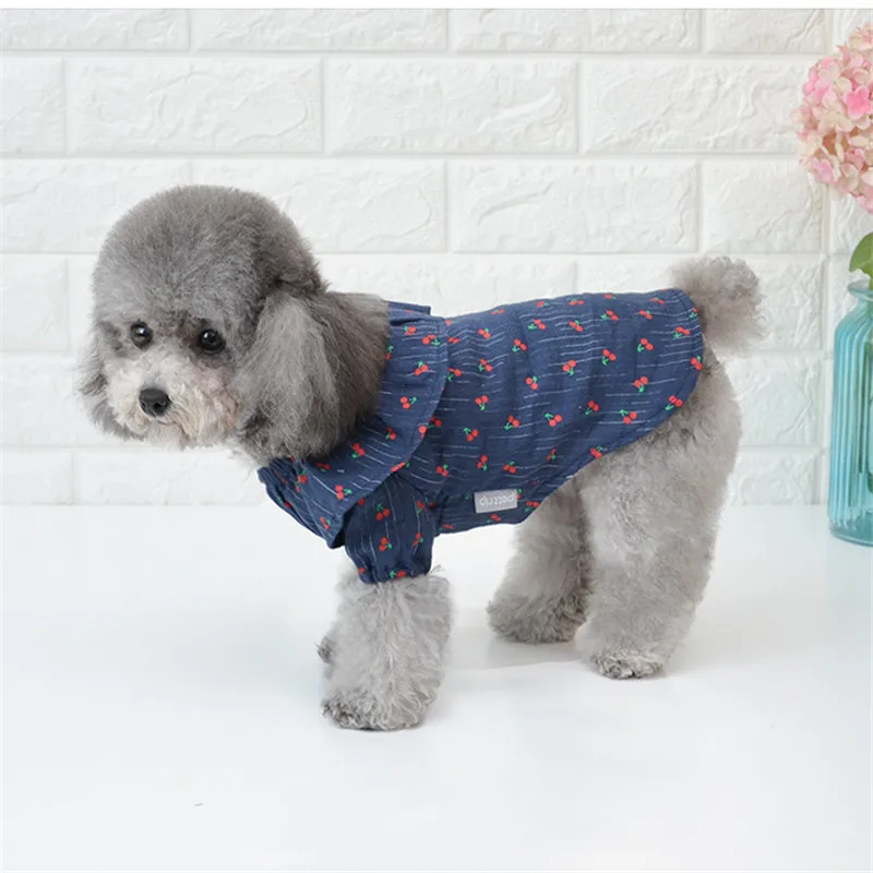 Коллекция 2019 года яркая одежда толстовка с капюшоном для щенков собак кошек