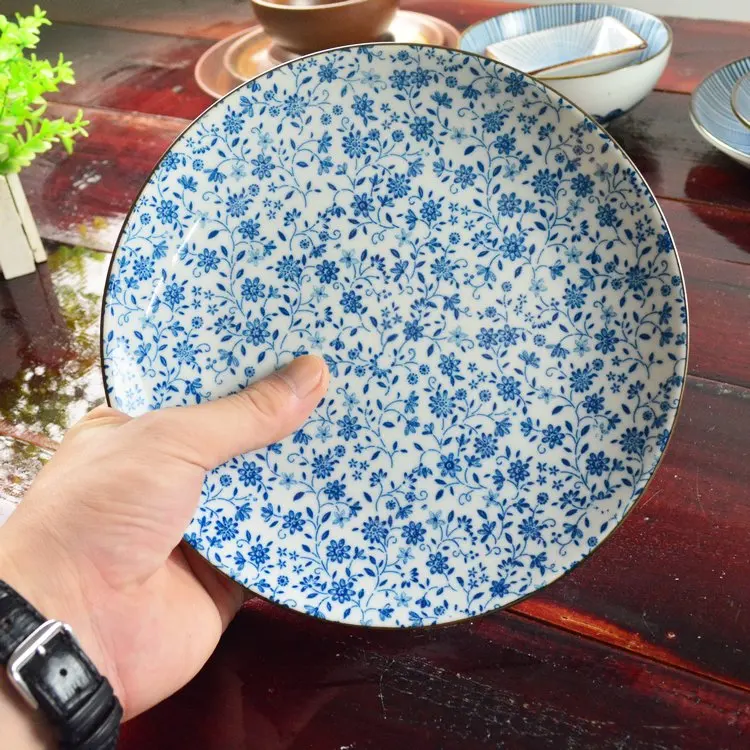 Западная блюдо пластина ручная роспись керамических подглазурная цвет посуда и