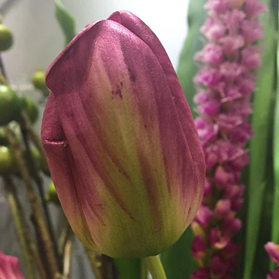 Purple Green 6 шт. EVA тюльпан 55 см длина высокое качество искусственный цветок Свадьба Свадебный дом магазин Декоративные искусственные цветы 4 вида цветов - Цвет: Purple Green