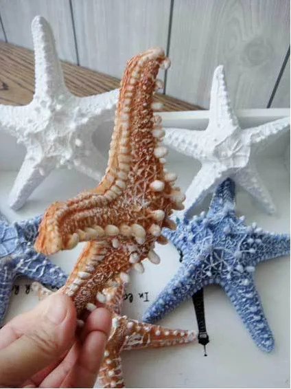 

The resin tank wall platform starfish wedding props decoration wall of the Mediterranean
