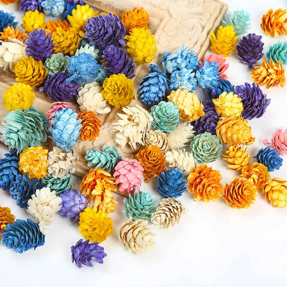 20 шт красочные сосновые конусы Натуральные сушеные цветы DIY ремесло венок