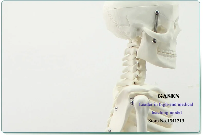 85 см обучающая модель человеческого скелета анатомический медицинский скелет