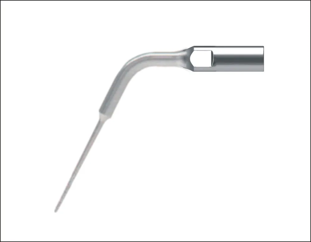 

Dental Scaler Tips ED5D New Dental Enlargement of canal wall tip fit SATELEC/DTE D1,D3,D5,D7