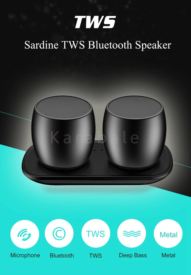 Сардины наушники-вкладыши TWS с Металл Bluetooth Динамик s Наушники-вкладыши TWS с Системы Колонка Портативный мини Динамик 3D стерео компьютерный сабвуфер громкий Динамик MP3 плеер