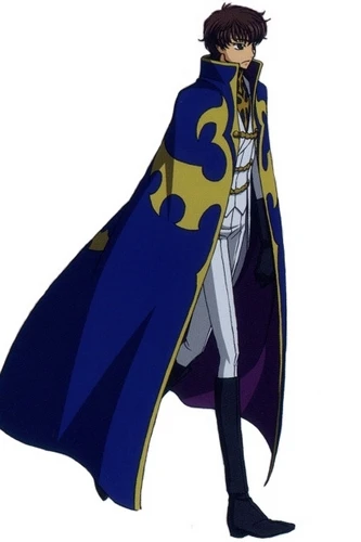 

Code Geass Kururugi Suzaku Knight Cosplay Costume Free Shipping for Halloween and Christmas