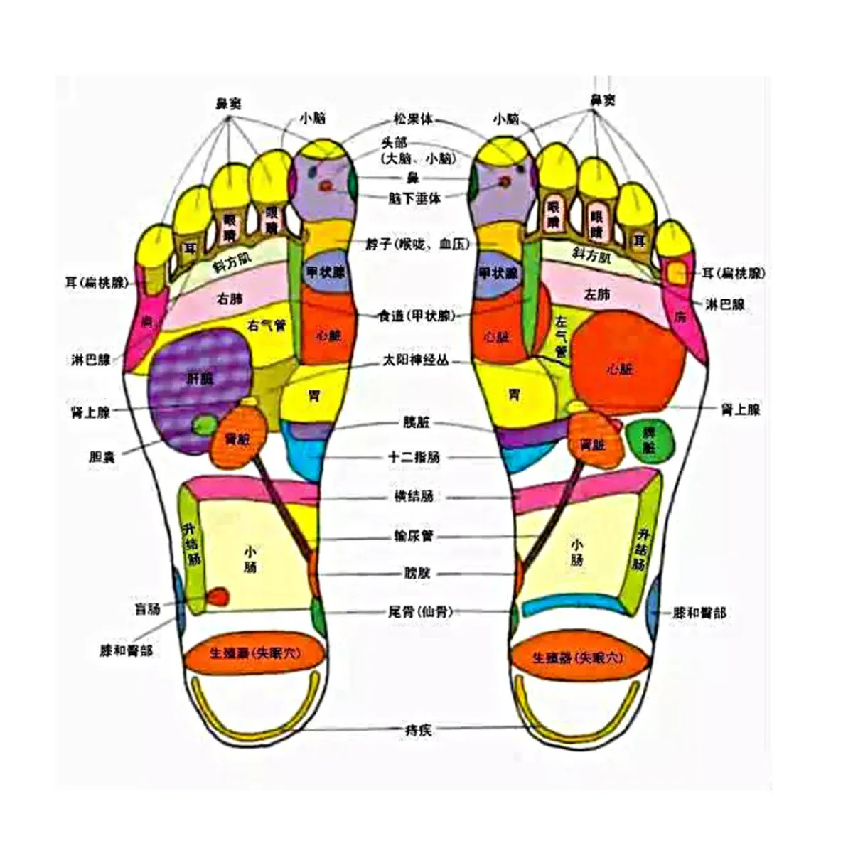 1 пара Acupressure Магнитная Массажная стелька для ног терапия Рефлексология Обезболивание здоровье Массажная обувь подошвы аксессуары вставки
