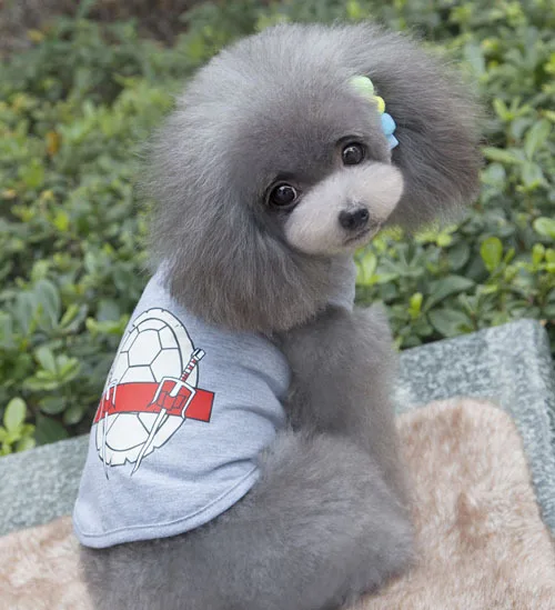 Летняя одежда для животных Рубашка с рисунком Собаки Pet Одежда котов черепаха