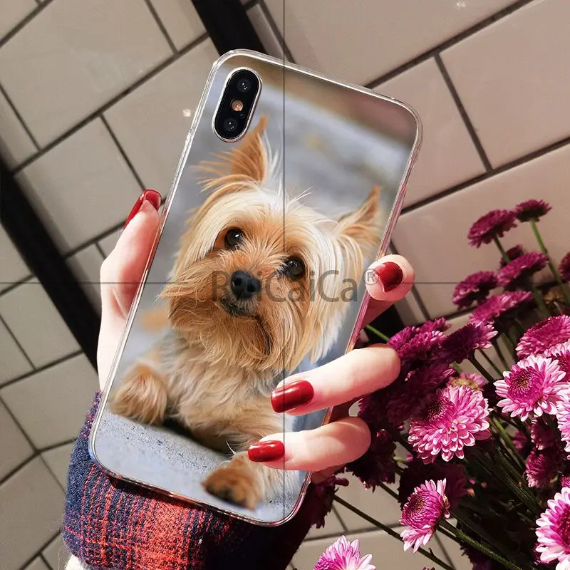 Умный чехол Ruicaica йоркширского терьера для Apple iPhone 8 7 6 6S Plus X XS MAX 5 5S SE XR | Мобильные