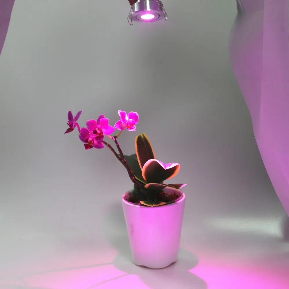 

3W Full Spectrum LED Grow Light 380-840nm Plant Spot lights