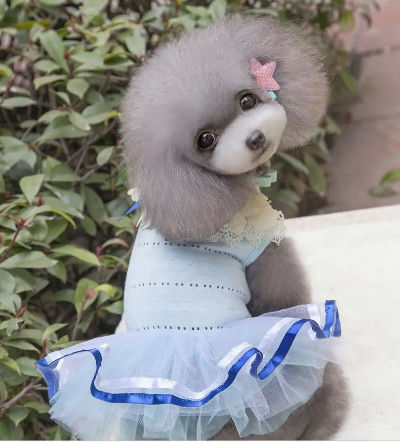 2016 весной и летом новый кота собаки любимчика платье принцессы щенок одежда | Дом