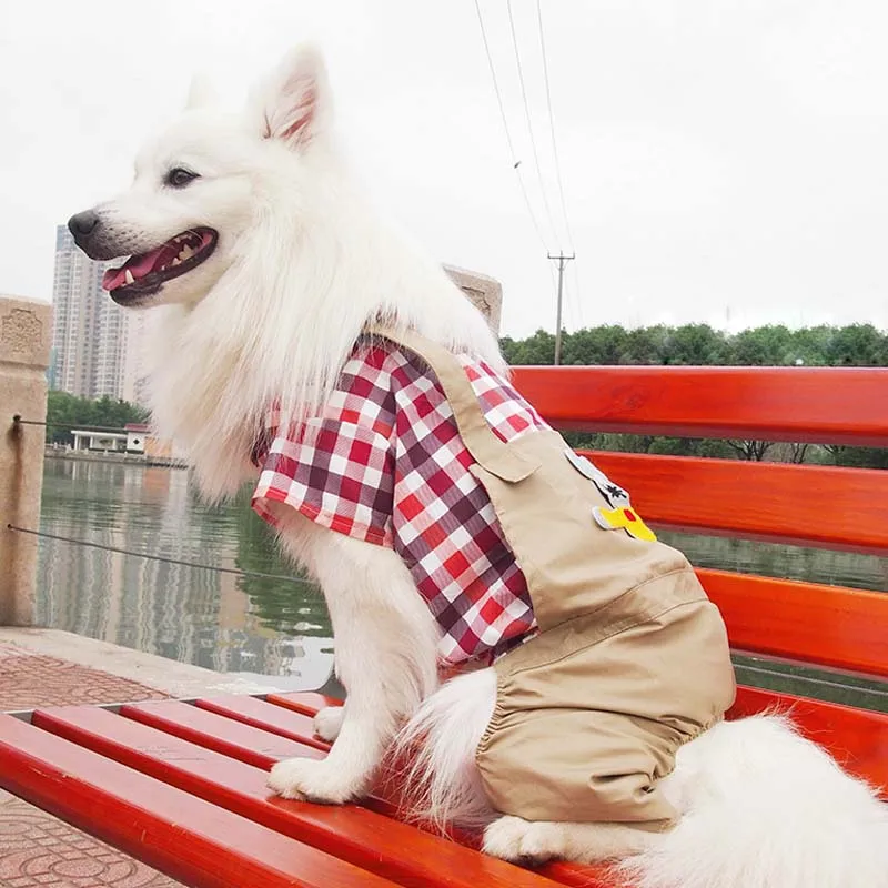Летняя одежда в клетку для собак большой и цвет золотистого ретривера щенка