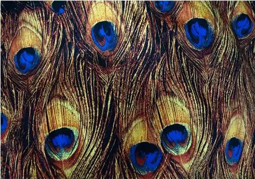 РЕТРО ПРИНТ перьев павлина желтый/синий микро Эластичный сатин эксклюзивная