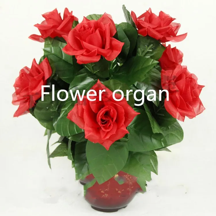 

Настоящий секретный реквизит для выхода комнаты от цветочных органов прикоснитесь к разблокировке цветка такагизм игра