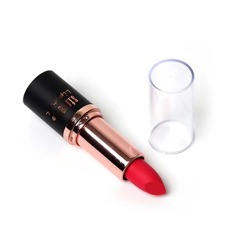 New Matte Lipstick 12color Easy To Wear Waterproof Long-lasting Matte Lip Gloss Lipstick Lady Sexy Lipstick Lip Balm TSLM2