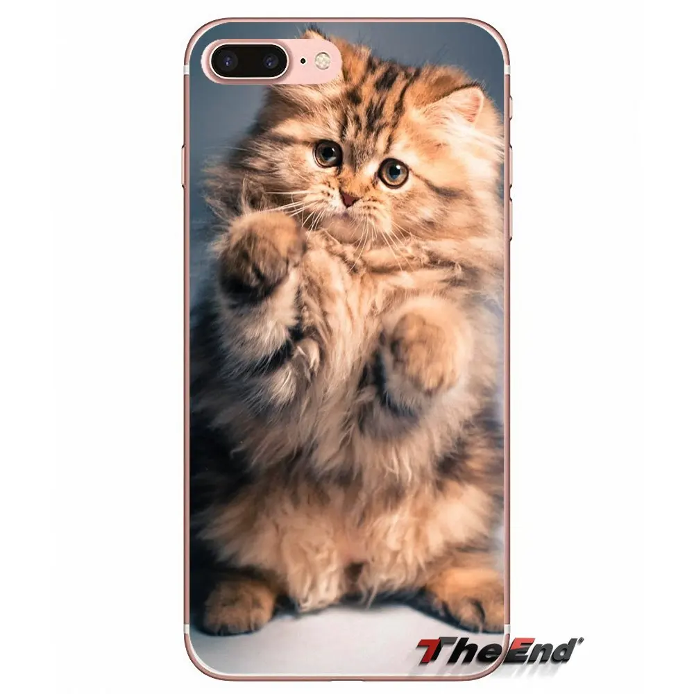 Силиконовый чехол для Samsung Galaxy J1 J2 J3 J5 J7 A3 A5 A7 2015 2016 2017 J530 J730 Fundas Coque Pretty moly kitта Коты |