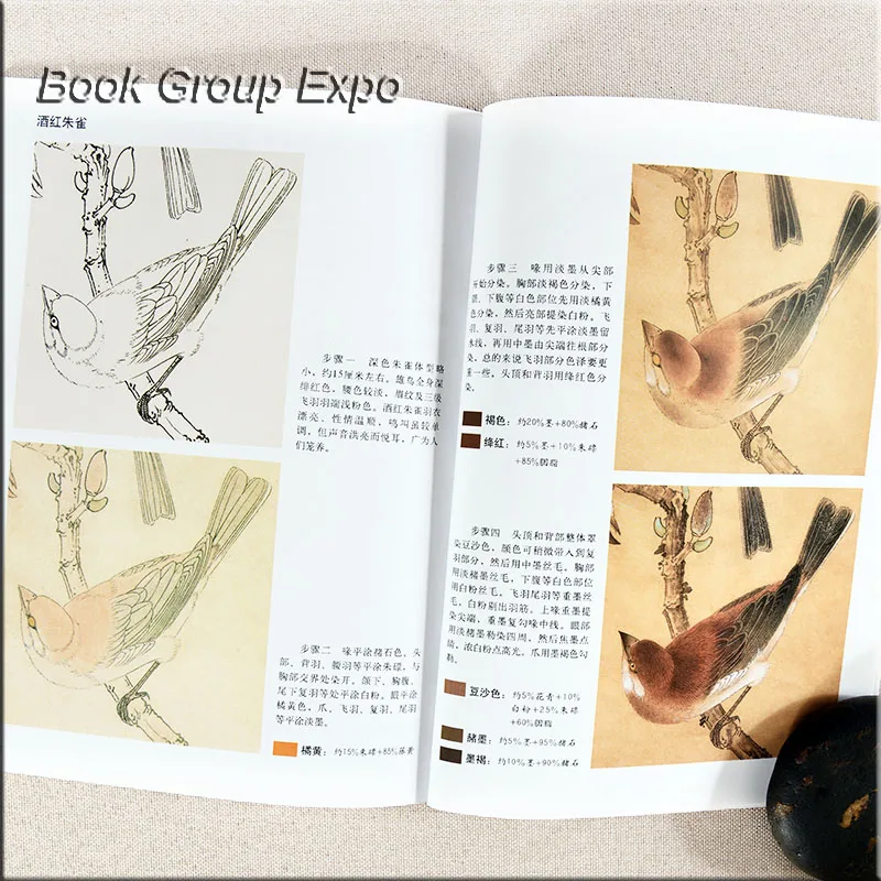 Книга китайской живописи животных Птица книга изготовитель gongbi написано ли